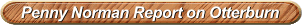 View Rally Report